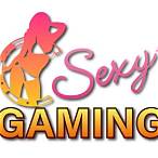 sexy gaming bet